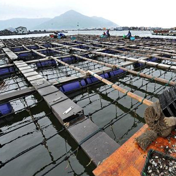 海鮮養殖應用方案